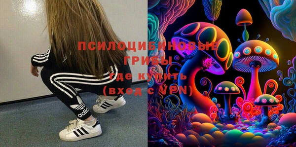 молекула духа Богородск