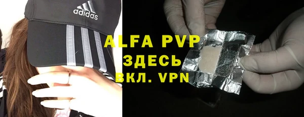 молекула духа Белая Холуница