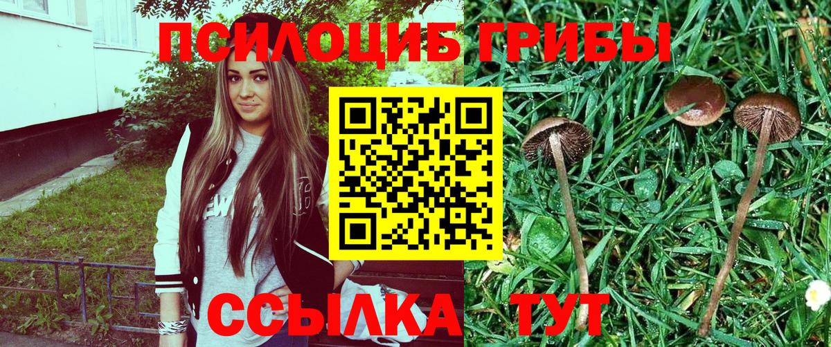 Псилоцибиновые грибы Psilocybe  Вход с VPN  магазин продажи   Краснокамск 
