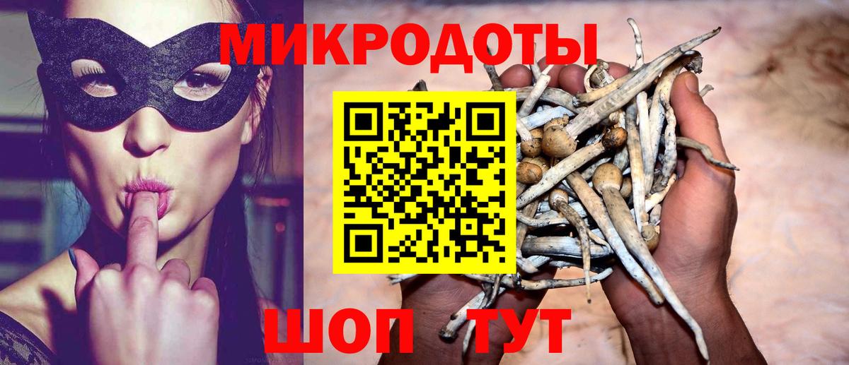 Псилоцибиновые грибы GOLDEN TEACHER  Краснокамск 